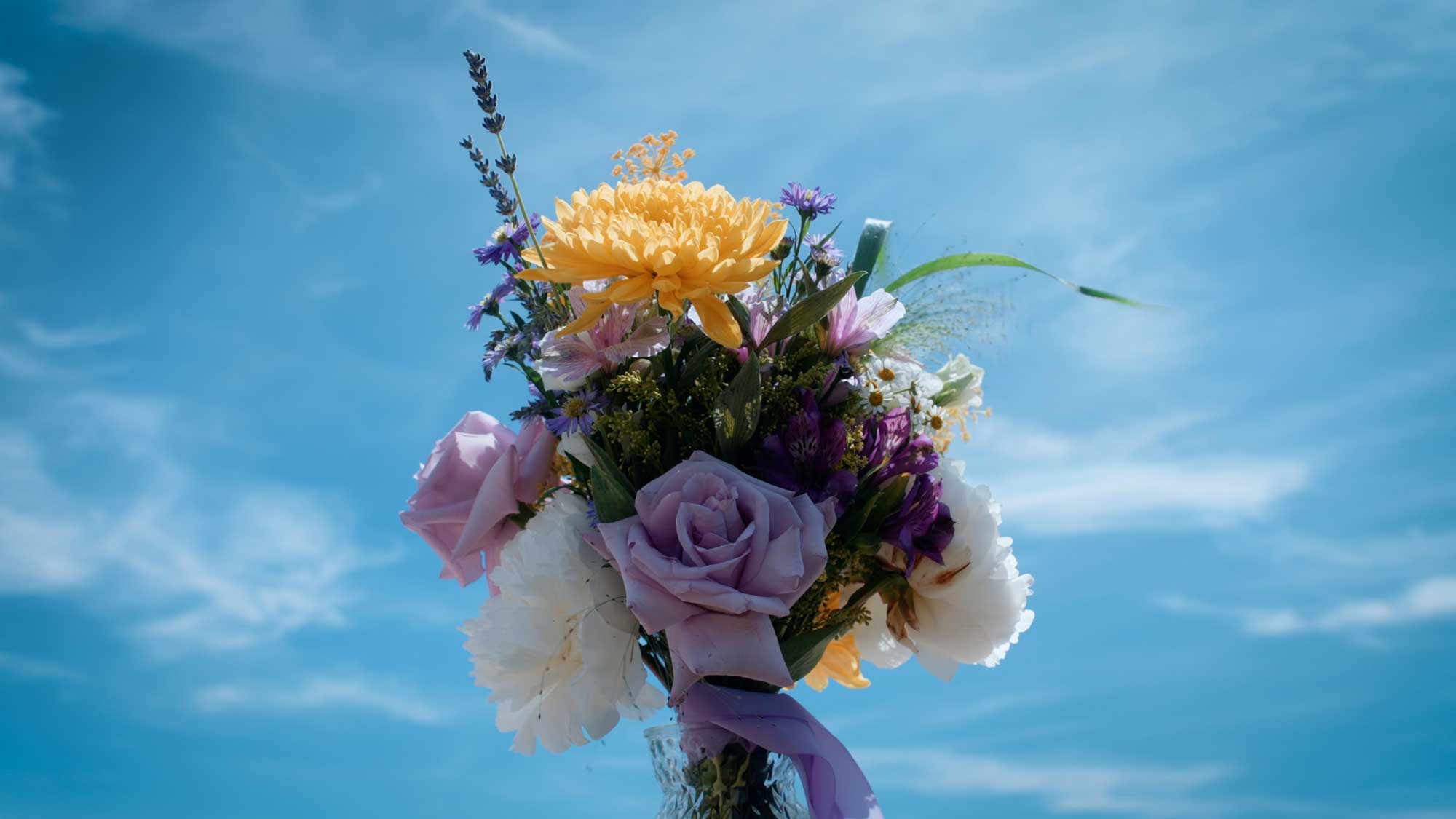 Film de mariage élégant en Provence par Martin Bosch Films